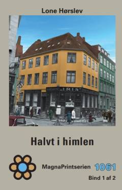 Halvt i himlen. Bind 2 (Stor skrift)