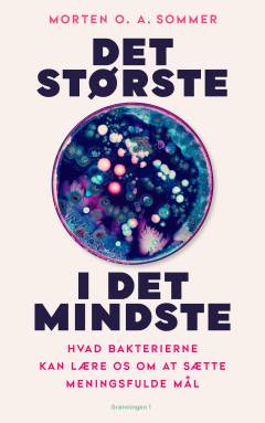 Det største i det mindste : hvad bakterierne kan lære os om at sætte meningsfulde mål