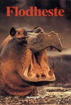 Flodheste