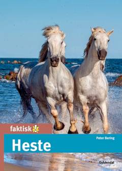 Heste