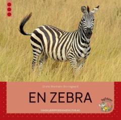 En zebra