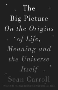 Big picture : on the origins of life, meaning, and the universe itself