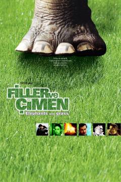 Filler ve çimen