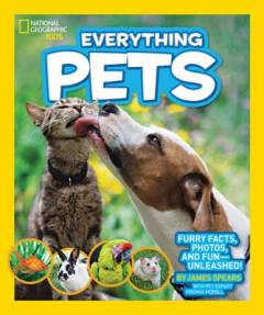 Everything pets
