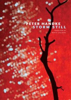 Storm still