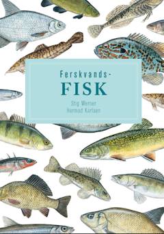 Ferskvandsfisk