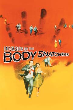 Film (dvd), 2010