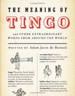 The meaning of tingo : and other extraordinary words from around the world