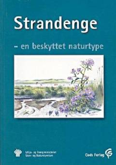 Strandenge - en beskyttet naturtype