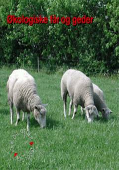Økologiske får og geder