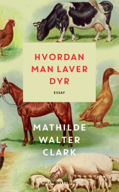 Hvordan man laver dyr : essay