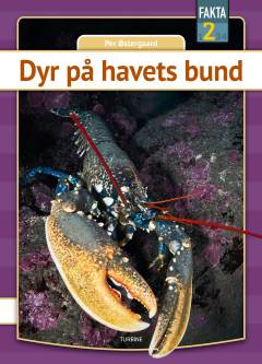 Dyr på havets bund