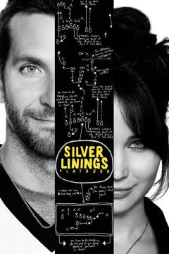 Silver linings playbook