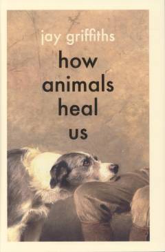 How animals heal us
