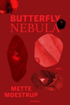 Butterfly nebula : digte