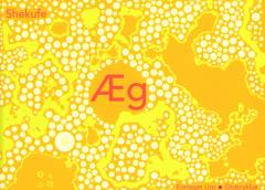 Æg