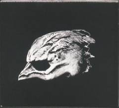 Legend of the Seagullmen