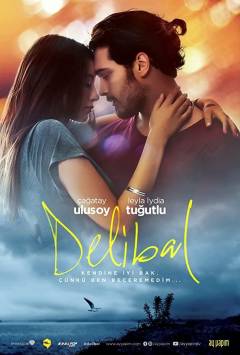 Film (dvd), 2015
