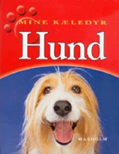 Hund