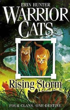 Rising storm