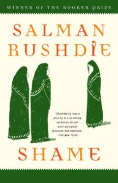Shame : a novel