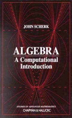 Algebra : a computational introduction