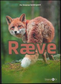 Ræve