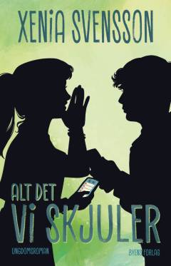 Alt det vi skjuler : ungdomsroman