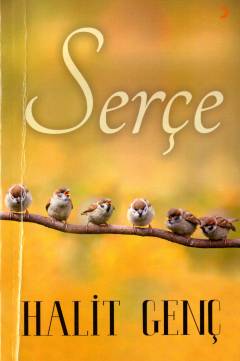 Serçe