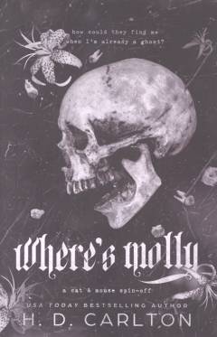 Where's Molly : a cat & mouse spin-off