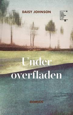 Under overfladen