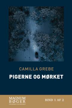 Pigerne og mørket. Bind 1 (Stor skrift)