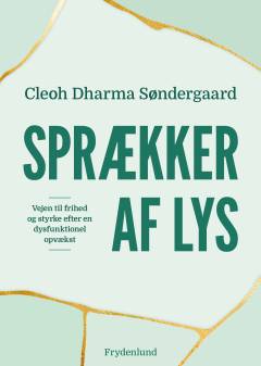 Sprækker af lys : vejen til frihed og styrke efter en dysfunktionel opvækst