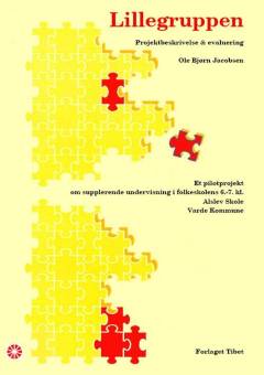 Lillegruppen : projektbeskrivelse & 1. evaluering efter ét år med Lillegruppen : et pilotprojekt om supplerende undervisning i en folkeskoles 6.-7. kl., Aslev Skole, Varde Kommune