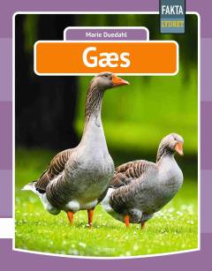 Bog, 1. udgave, 2021