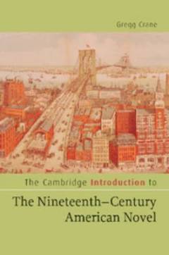 The Cambridge introduction to the nineteenth-century American novel