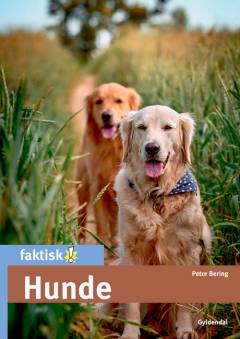 Hunde