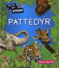 Pattedyr