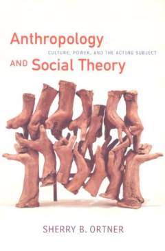 Anthropology and social theory : culture, power, and the acting subject