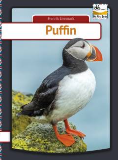 Puffin