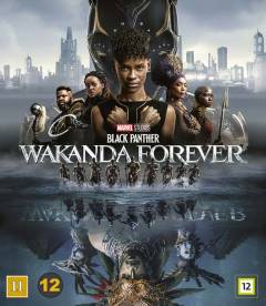 Black Panther - Wakanda forever
