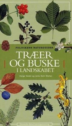 Træer og buske i landskabet