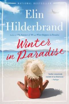 Winter in paradise : a novel