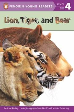 Lion, tiger, and bear