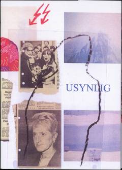 Usynlig : en røverhistorie