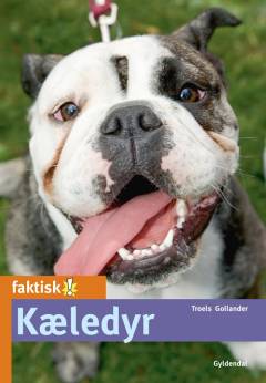 Kæledyr
