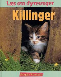 Killinger