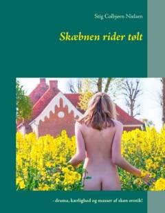 Skæbnen rider tølt : 19 livsbekræftende fortællinger