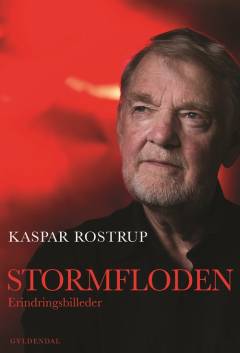 Stormfloden : erindringsbilleder