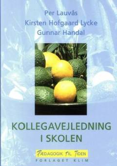 Kollegavejledning i skolen